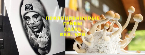 мдпв Горняк