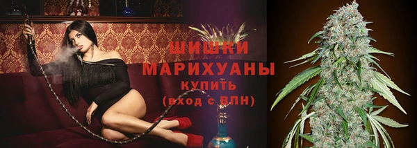 мдпв Горняк