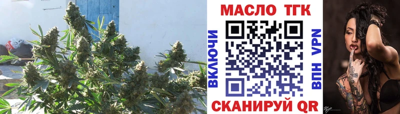ТГК вейп с тгк  МЕГА ссылки  Киров 