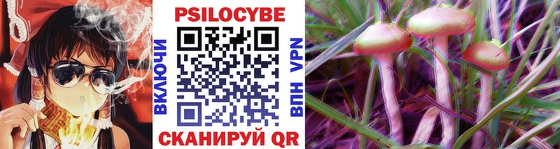 Псилоцибиновые грибы Psilocybe  Киров 