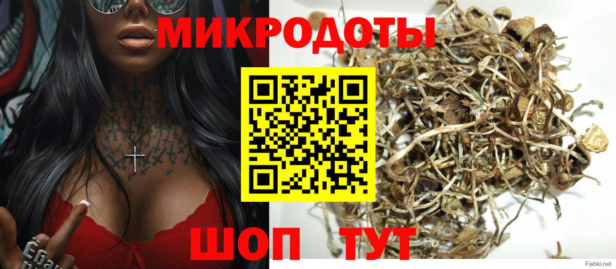 Галлюциногенные грибы MAGIC MUSHROOMS Киров