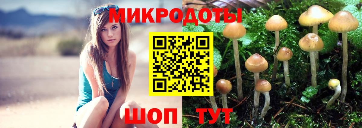 Киров  Псилоцибиновые грибы Psilocybe  Вход с VPN  Галлюциногенные грибы мухоморы 